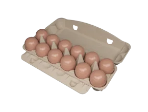 12-EGG BOX